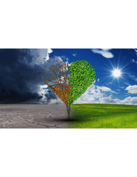 1 Full day training: Loss and performance. Working in Emergency settings. EMDR and Brainspotting Techniques.