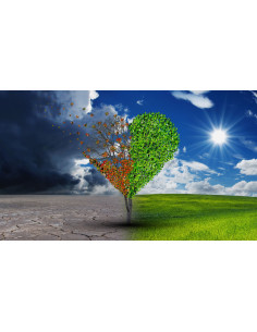 Training: Psychological well-being and trauma using EMDR and Brainspotting